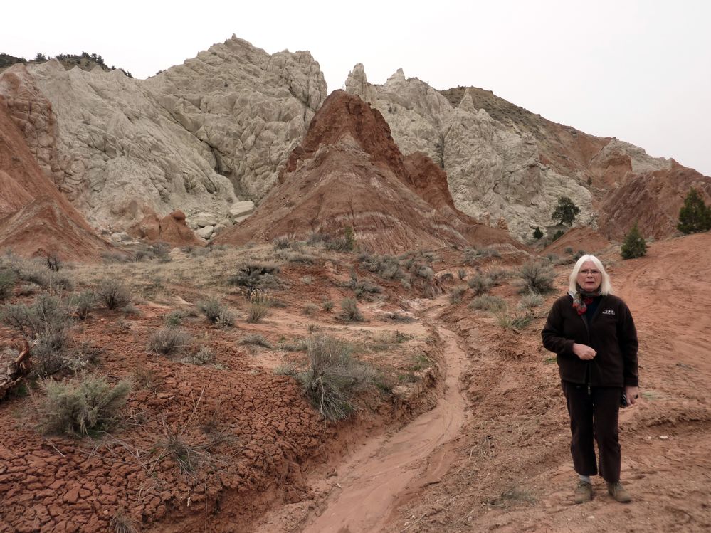 Grand staircase - Escalante (15).JPG